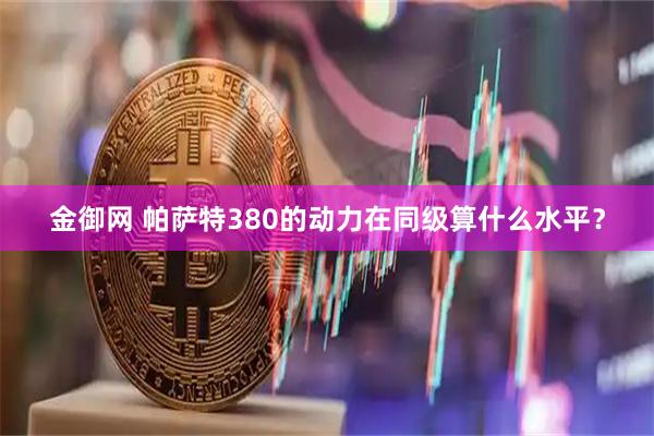 金御网 帕萨特380的动力在同级算什么水平？