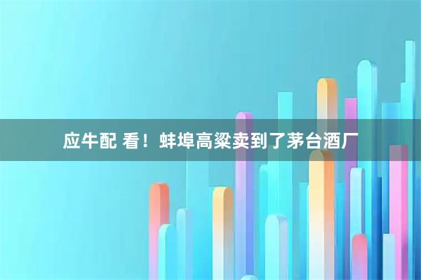 应牛配 看！蚌埠高粱卖到了茅台酒厂