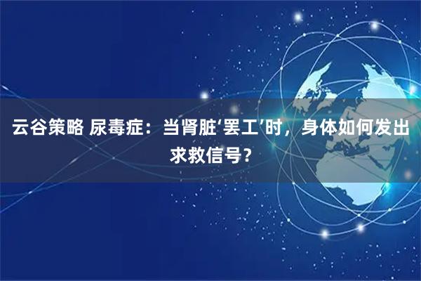 云谷策略 尿毒症：当肾脏‘罢工’时，身体如何发出求救信号？