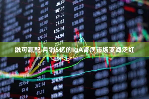 融可赢配 月销5亿的IgA肾病市场蓝海泛红