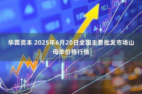 华霖资本 2025年6月20日全国主要批发市场山母羊价格行情