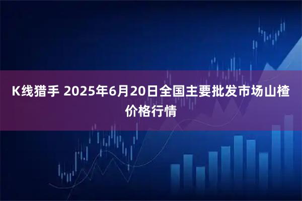 K线猎手 2025年6月20日全国主要批发市场山楂价格行情