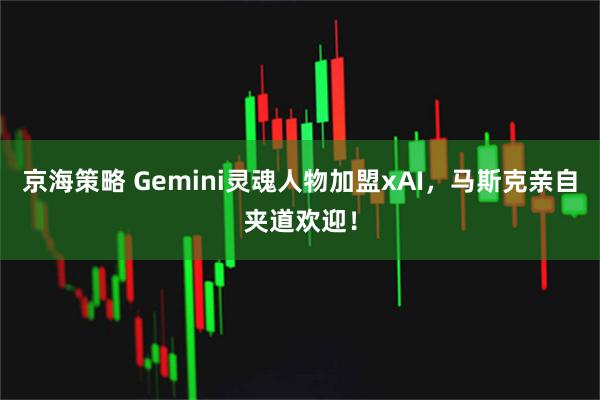 京海策略 Gemini灵魂人物加盟xAI，马斯克亲自夹道欢迎！