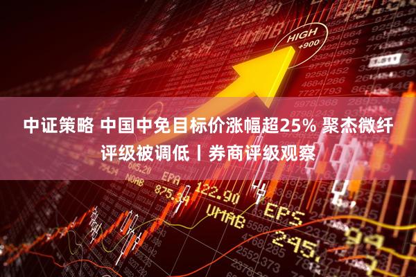 中证策略 中国中免目标价涨幅超25% 聚杰微纤评级被调低丨券商评级观察