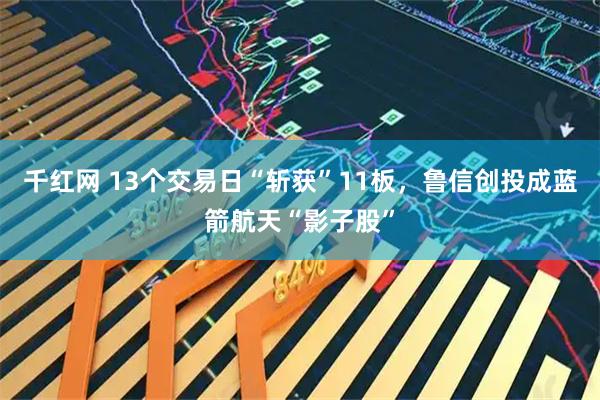 千红网 13个交易日“斩获”11板,鲁信创投成蓝箭航天“影子股”