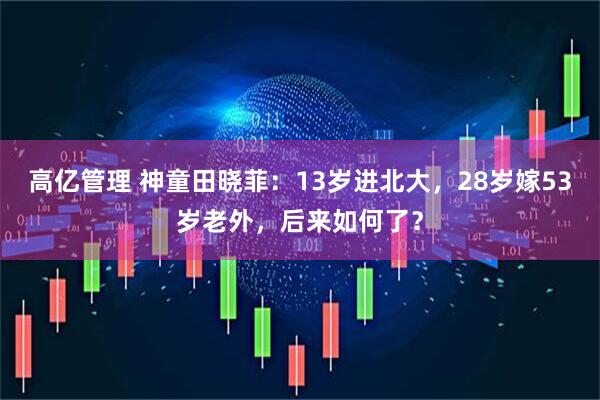 高亿管理 神童田晓菲：13岁进北大，28岁嫁53岁老外，后来如何了？