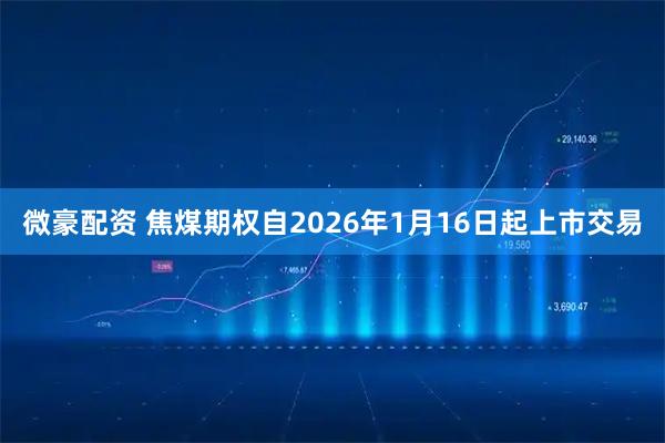 微豪配资 焦煤期权自2026年1月16日起上市交易