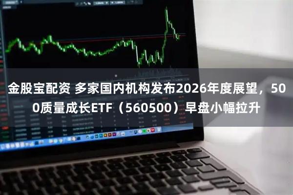 金股宝配资 多家国内机构发布2026年度展望，500质量成长ETF（560500）早盘小幅拉升
