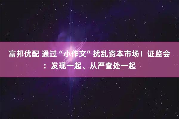 富邦优配 通过“小作文”扰乱资本市场！证监会：发现一起、从严查处一起